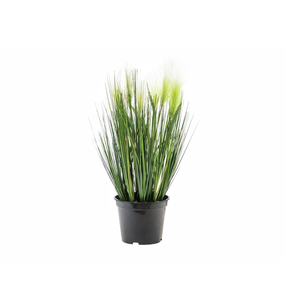 EUROPALMS Federgras, künstlich, weiß, 60cm