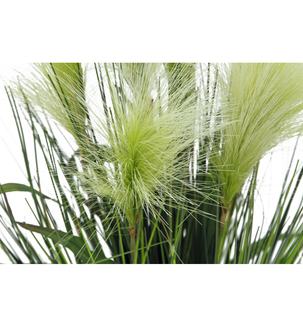 EUROPALMS Federgras, künstlich, weiß, 60cm