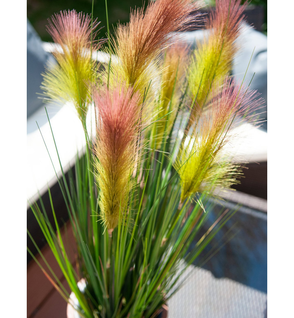 EUROPALMS Federgras, künstlich, rosé, 90cm