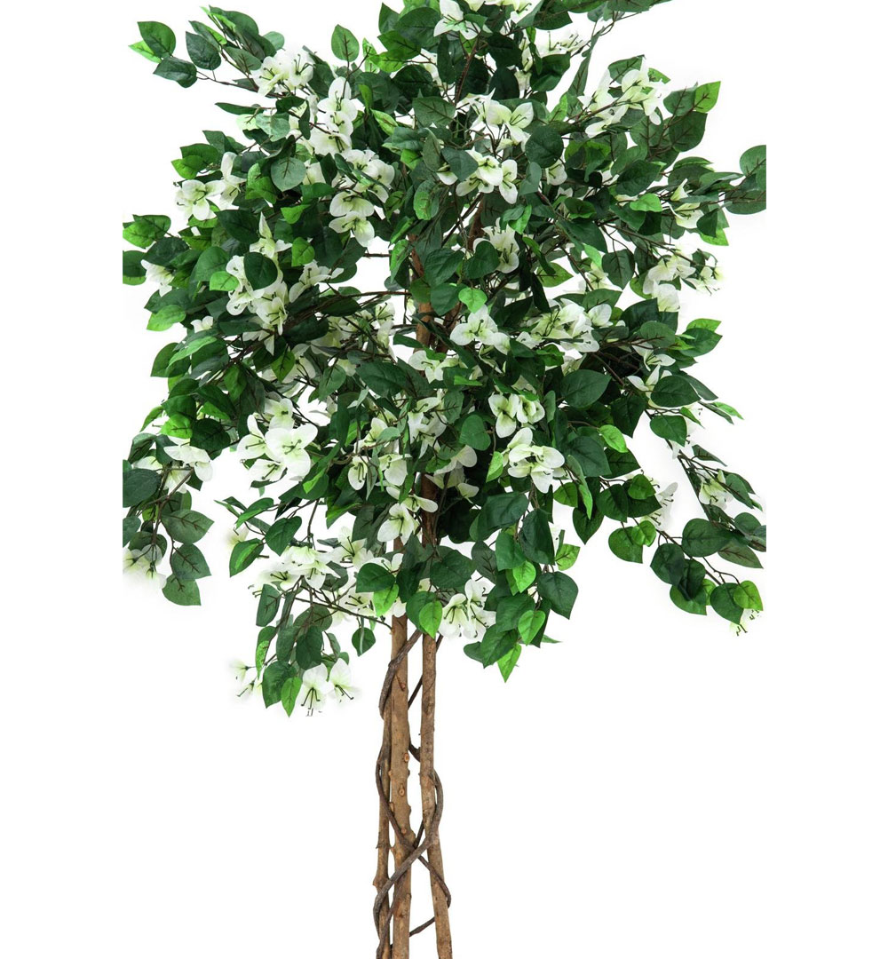 EUROPALMS Bougainvillea, Kunstpflanze, weiß, 180cm - live 02