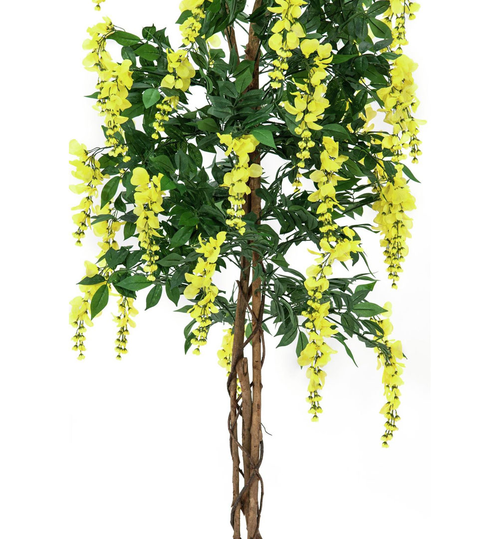 EUROPALMS Goldregenbaum, Kunstpflanze, gelb, 150cm