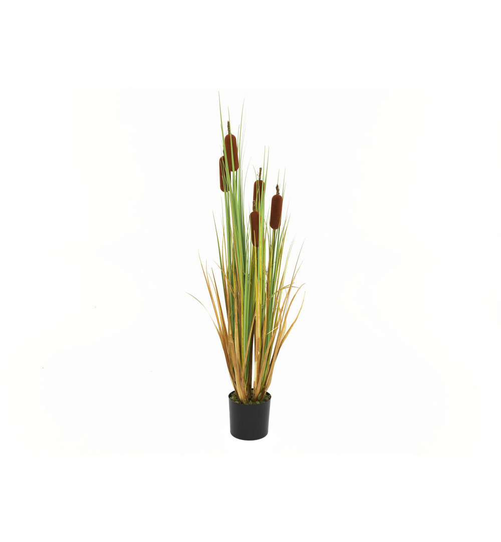 EUROPALMS Rohrkolben, Kunstpflanze, 150cm