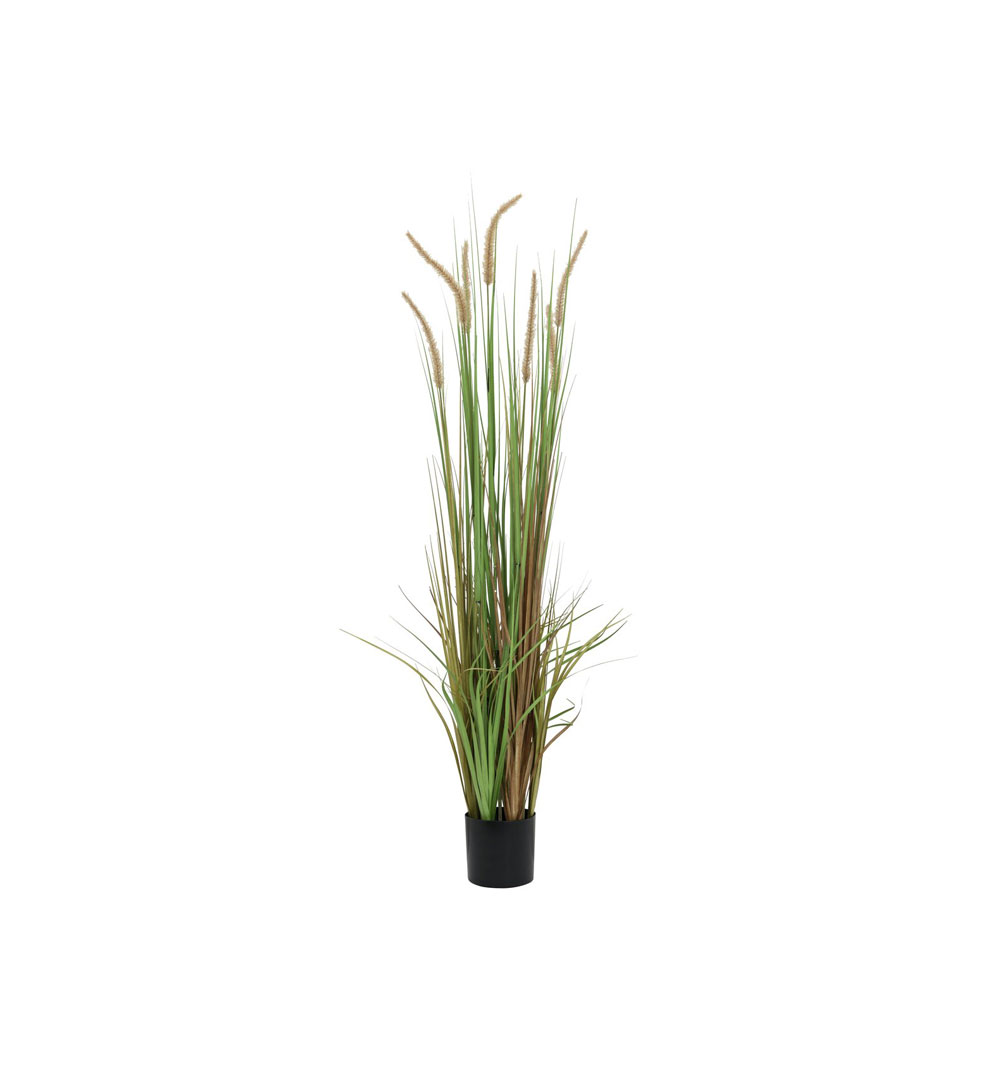 EUROPALMS Lampenputzergras, künstlich, 120cm