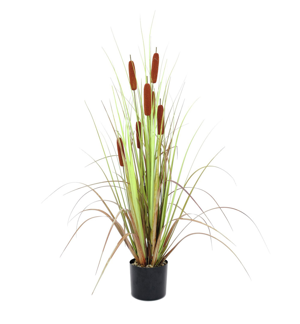 EUROPALMS Rohrkolben, Kunstpflanze, 120cm
