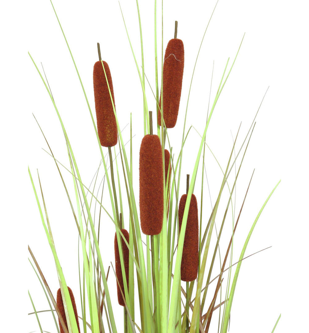 EUROPALMS Rohrkolben, Kunstpflanze, 120cm