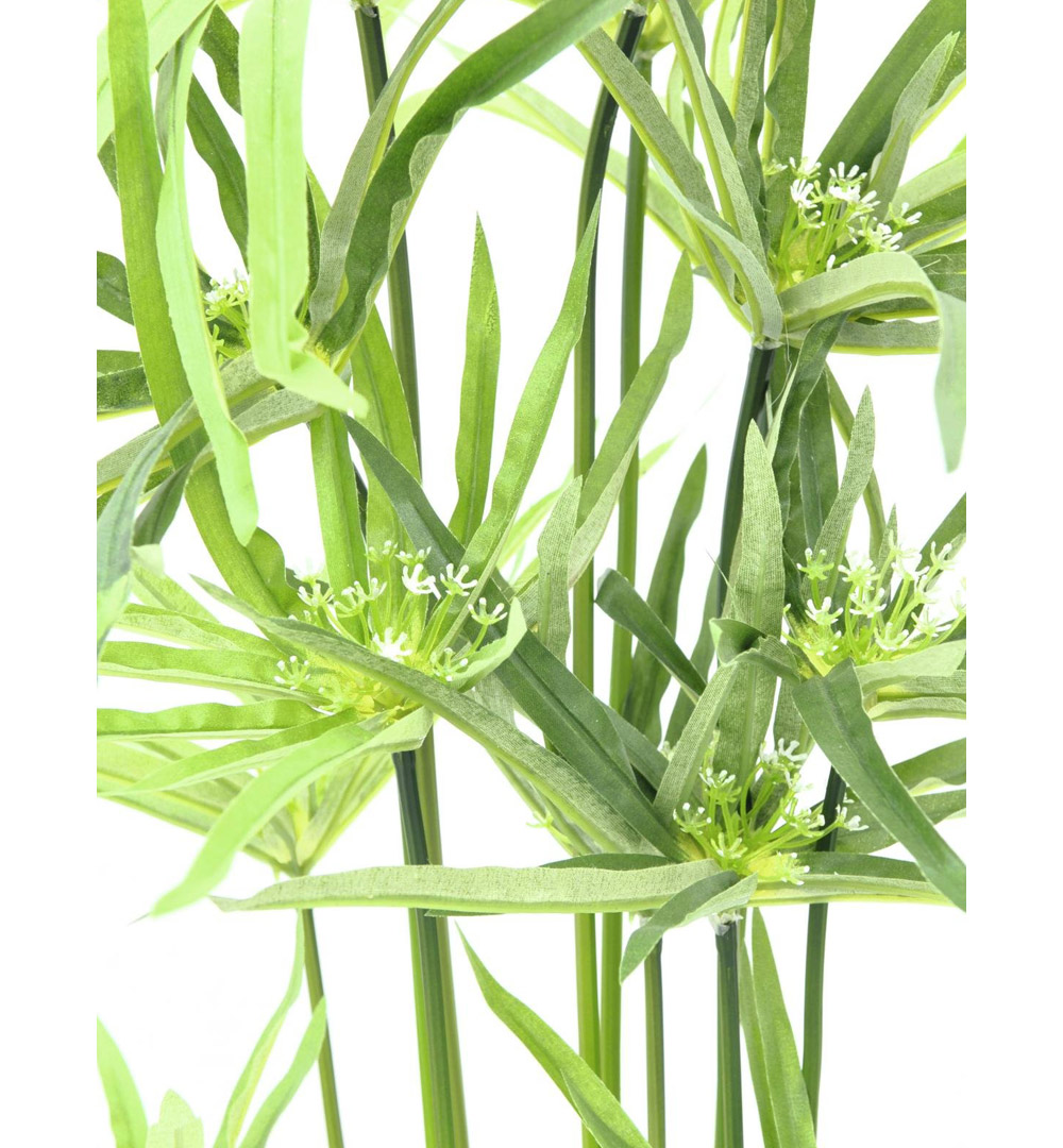 EUROPALMS Zyperngras, künstlich,76cm