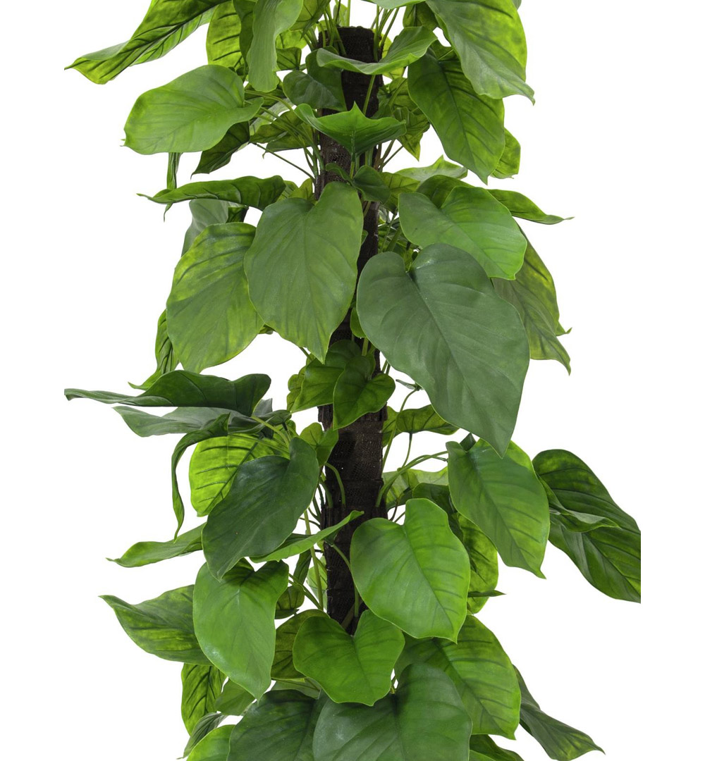 EUROPALMS Pothos, Kunstpflanze, 180cm
