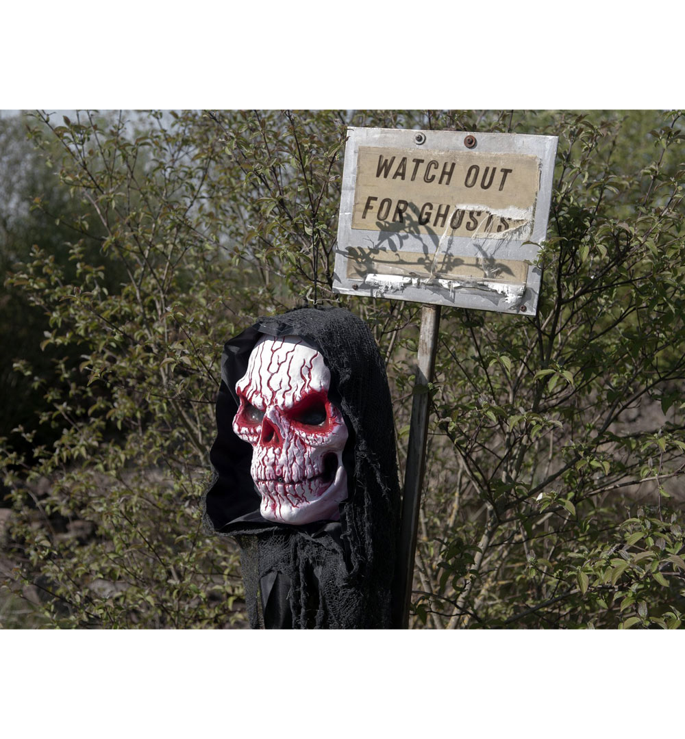 EUROPALMS Halloween Blut Totenkopf, 80cm