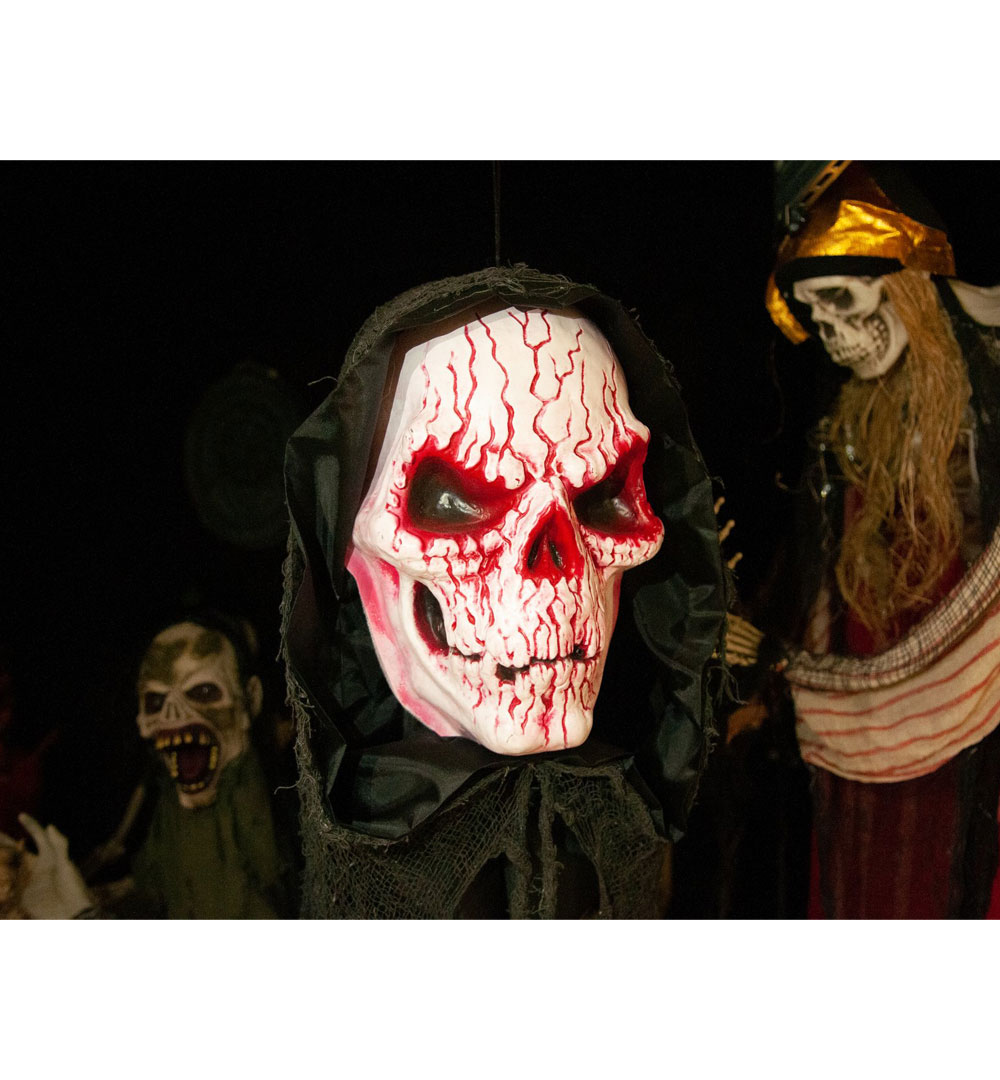 EUROPALMS Halloween Blut Totenkopf, 80cm