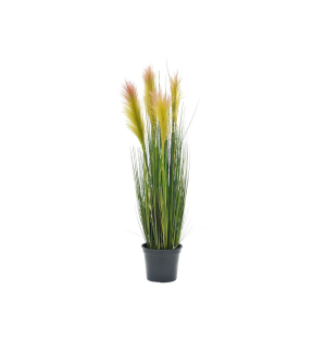 EUROPALMS Federgras, künstlich, rosé, 90cm