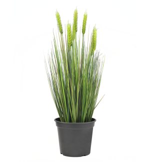 EUROPALMS Weizen Frühsommer, künstlich, 60cm