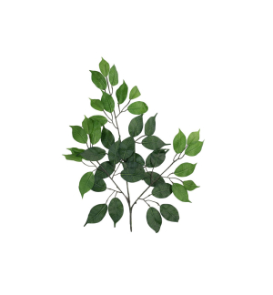 EUROPALMS Ficuszweig Benjamina, künstlich, 12x EUROPALMS Ficuszweig Benjamina, künstlich, 12x