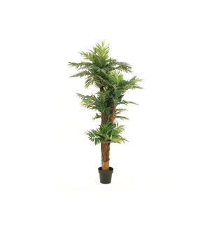 EUROPALMS Areca Palme, Kunstpflanze, 170cm