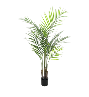 EUROPALMS Großblatt-Areca, Kunstpflanze, 125cm EUROPALMS Großblatt-Areca, Kunstpflanze, 125cm