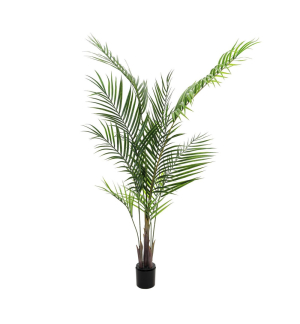 EUROPALMS Großblatt-Areca, Kunstpflanze, 165cm EUROPALMS Großblatt-Areca, Kunstpflanze, 165cm