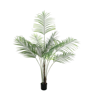 EUROPALMS Großblatt-Areca, Kunstpflanze, 185cm EUROPALMS Großblatt-Areca, Kunstpflanze, 185cm