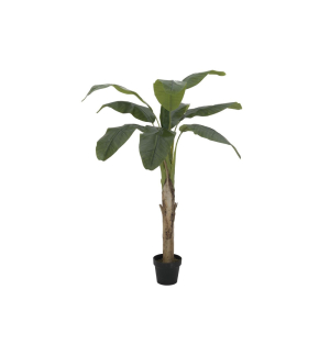 EUROPALMS Bananenbaum, Kunstpflanze, 145cm EUROPALMS Bananenbaum, Kunstpflanze, 145cm