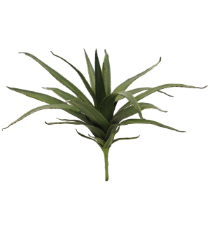 EUROPALMS Aloe (EVA), künstlich, grün, 50cm EUROPALMS Aloe (EVA), künstlich, grün, 50cm