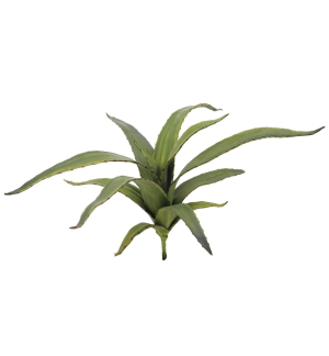 EUROPALMS Aloe (EVA), künstlich, grün, 66cm EUROPALMS Aloe (EVA), künstlich, grün, 66cm