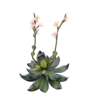 EUROPALMS Steinrose (EVA), Kunstpflanze, pink, 32cm EUROPALMS Steinrose (EVA), Kunstpflanze, pink, 32cm