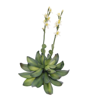 EUROPALMS Steinrose (EVA), Kunstpflanze, gelb, 32cm EUROPALMS Steinrose (EVA), Kunstpflanze, gelb, 32cm