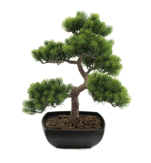 EUROPALMS Bonsai-Pinie, Kunstpflanze, 50cm EUROPALMS Bonsai-Pinie, Kunstpflanze, 50cm