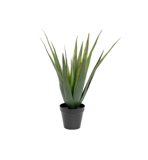 EUROPALMS Aloe-Vera Pflanze, Kunstpflanze, 60cm EUROPALMS Aloe-Vera Pflanze, Kunstpflanze, 60cm