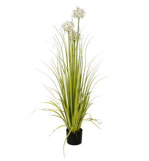 EUROPALMS Alliumgras, Kunstpflanze, weiß, 120 cm