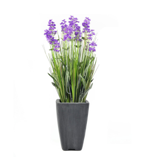 EUROPALMS Lavendel, Kunstpflanze, lila, im Dekotopf, 45cm