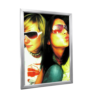 EUROPALMS Reklamewand A0, beleuchtet, aluminium