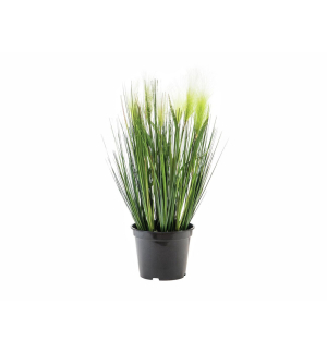 EUROPALMS Federgras, künstlich, weiß, 60cm