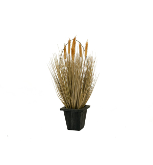 EUROPALMS Weizen erntereif, künstlich, 60cm