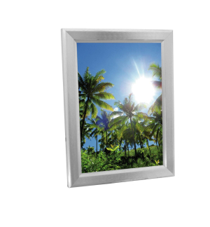 EUROPALMS Reklamewand A2, beleuchtet, aluminium
