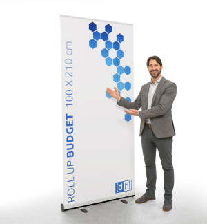 Roll-Up Budget - Live 01