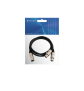 OMNITRONIC Adapterkabel XLR(M)/2xXLR(F) 0,5m swOMNITRONIC Adapterkabel XLR(M)/2xXLR(F) 0,5m sw - live 03
