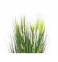 EUROPALMS Federgras, künstlich, weiß, 60cm