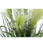 EUROPALMS Federgras, künstlich, weiß, 60cm