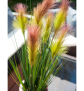EUROPALMS Federgras, künstlich, rosé, 90cm