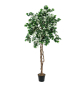 EUROPALMS Bougainvillea, Kunstpflanze, weiß, 150cm