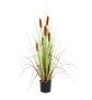 EUROPALMS Rohrkolben, Kunstpflanze, 120cm