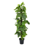 EUROPALMS Pothos, Kunstpflanze, 180cm