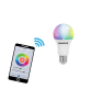 OMNILUX LED E27 RGB/WW/CW WiFi