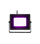 EUROLITE LED IP FL-30 SMD violett