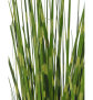 EUROPALMS Zebragras, künstlich, 90cm