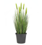 EUROPALMS Weizen Frühsommer, künstlich, 60cm