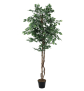 EUROPALMS Silberficus-Benjamini, Kunstpflanze, 180cm