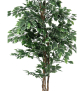 EUROPALMS Silberficus-Benjamini, Kunstpflanze, 180cm