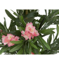 EUROPALMS Oleanderbaum, Kunstpflanze, rosa, 150 cm