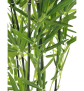 EUROPALMS Zierbambus in Dekoschale, künstlich, 120cm