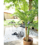 EUROPALMS Areca Palme, 2-stämmig, Kunstpflanze, 120cm